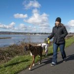 Enjoying the sun after many cloudy days,  Ashley Ferris walks her two boxers along the east side of the Ebey Waterfront Trail overlooking the restored Qwuloolt Estuary on Monday, Feb. 26, 2018 in Marysville, Wa. (Andy Bronson / The Herald)