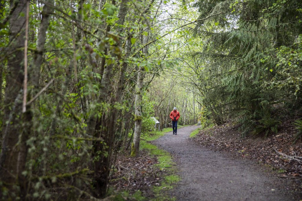 Bill Derry walks through the Narbeck Wetland Sanctuary on Wednesday, April 24, 2024 in Everett, Washington. (Olivia Vanni / The Herald)