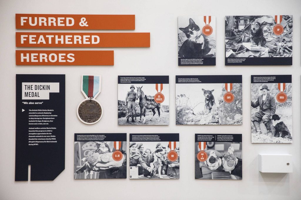 A list of different animals awarded with the Dickin Medal in the Charlie Hangar at Flying Heritage & Combat Armor Museum on Friday, March 29, 2024 in Everett, Washington. (Olivia Vanni / The Herald)