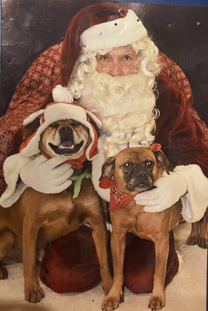Lars Pardo as shelter volunteer Santa Paws with his two dogs, Mac and Mackenzie. (Submitted photo)