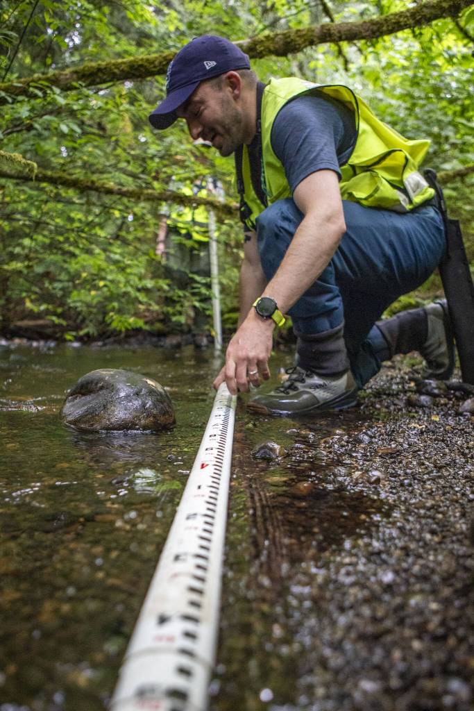 Stuart Baker takes a measurement of the creek bed as a part of the countys State of Our Waters survey at Tambark Creek in Bothell, Washington on Monday, July 1, 2024. (Annie Barker / The Herald)