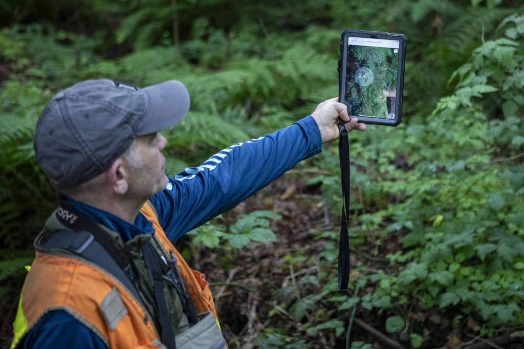 Frank Leonetti shows the location of the survey sector on a map as a part of the countys State of Our Waters survey at Tambark Creek in Bothell, Washington on Monday, July 1, 2024. (Annie Barker / The Herald)