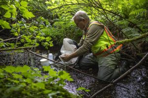 Rob Plotnikoff takes a measurement as a part of the county's State of Our Waters survey at Tambark Creek in Bothell, Washington on Monday, July 1, 2024. (Annie Barker / The Herald)