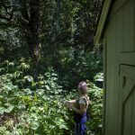 Kim Skarda looks up at the mountains by her home on Thursday, June 20, 2024 in Concrete, Washington. A community called Sauk River Estates has a very steep slope above it. There is a DNR-approved timber sale that borders the estate properties, yet they were not consulted about the sale before approval. The community has already appealed the sale and has hired their own geologist to conduct a slope stability report at the site. (Annie Barker / The Herald)
