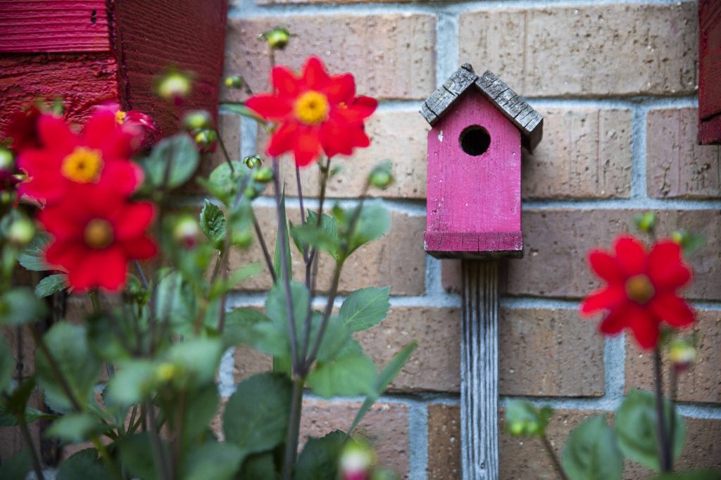 A red bird house is framed by red flowers on Tuesday, July 2, 2024 in Mukilteo, Washington. (Olivia Vanni / The Herald)