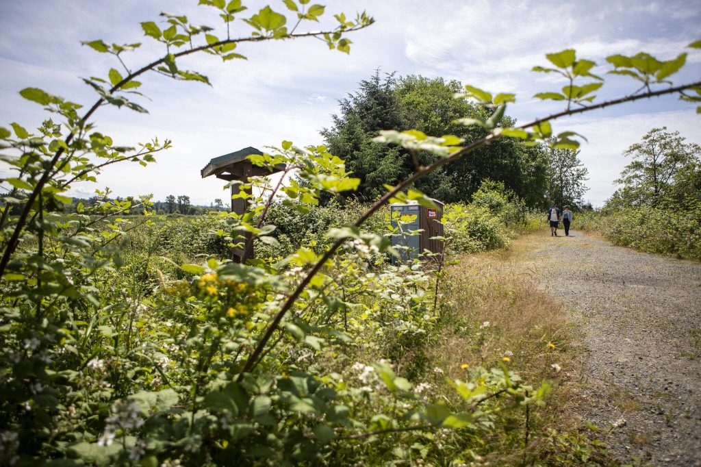 People walk a trail at Spencer Island Park on Saturday, June 29, 2024 in Everett, Washington. (Annie Barker / The Herald)