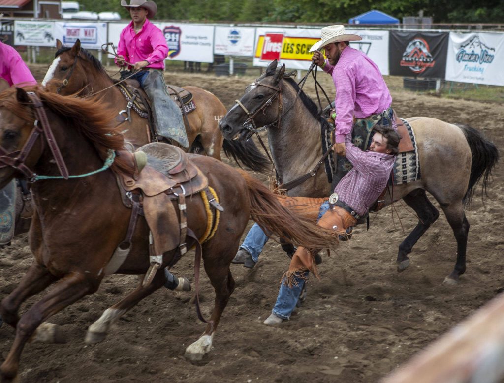 A cowboy avoids being trampled during the ranch saddle bronc riding event during the Timberbowl Rodeo in Darrington, Washington, on Saturday, June 29, 2024. (Annie Barker / The Herald)