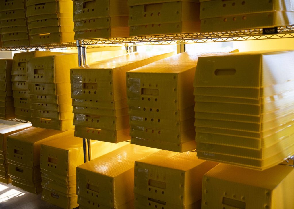 Ballot crates are illuminated by sunlight on Tuesday, July 9, 2024 in Everett, Washington. (Olivia Vanni / The Herald)