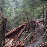 Lake 22 trail will close Wednesday, July 10, 2024, and will remain closed through Oct. 10, 2024, for maintenance. This will give crews time to repair damage from flooding in December. (Provided by U.S. Forest Service)