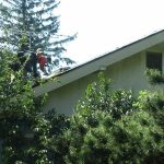 State regulators photographed these Allways Roofing employees working on top of a house in Mount Vernon, Washington, without wearing proper fall protection. (Washington State Department of Labor & Industries)