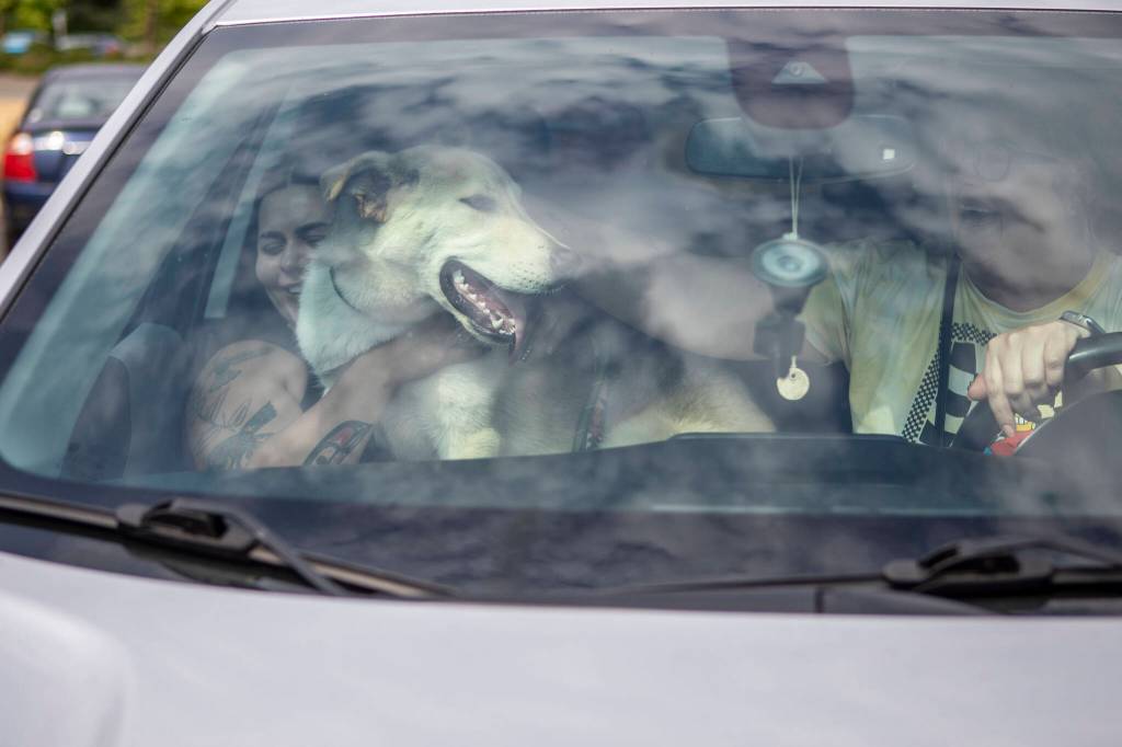 Jordan Willard, left, holds Gunner, during a Wandering Rover Field Trip at the Everett Animal Shelter in Everett on July 17, 2024. (Annie Barker / The Herald)