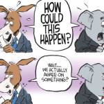 toon