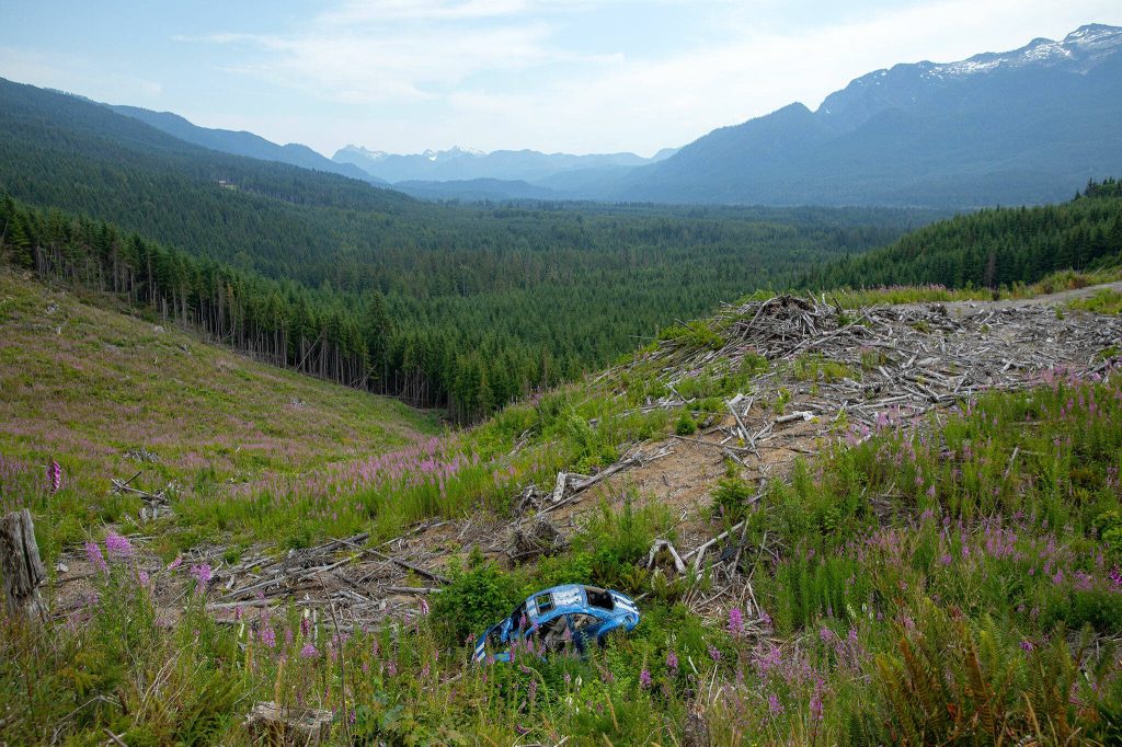 An abandoned Volkswagen Beetle sits at the bottom of an embankment off the side of Green Mountain Road on Wednesday, July 17, 2024, near Granite Falls, Washington. The Bug is a popular shooting target, indicated by the numerous bullet holes that cover it. (Ryan Berry / The Herald)