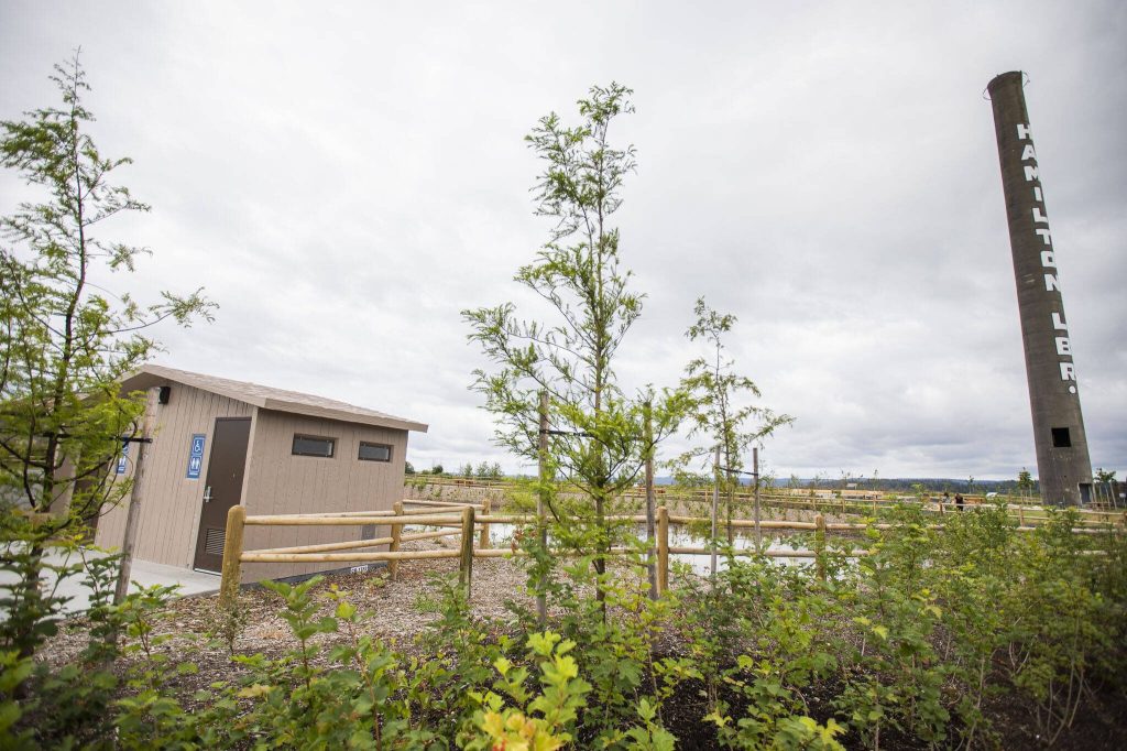 Hamilton Landing Park on Thursday, July 25, 2024 in Stanwood, Washington. (Olivia Vanni / The Herald)