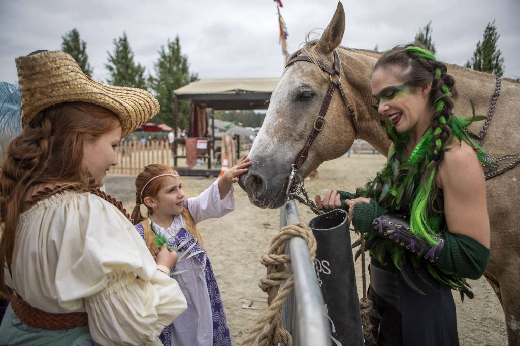 Attendees gather to meet a horse at the Washington Midsummer Renaissance Faire near Monroe. (Annie Barker / The Herald)