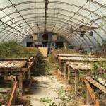A before photo shows the greenhouses state of disrepair before the June cleanups. (Courtesy of Kayla Carter)
