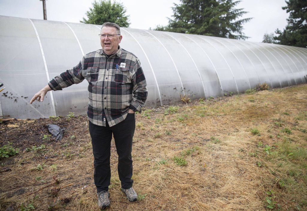 Ron Friesen, of Best Schools Marysville, talks about how much of the space was covered in blackberries on Monday in Marysville. (Olivia Vanni / The Herald)