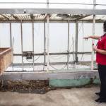 Kayla Carter talks about how dense the blackberries were that filled the space on Monday in Marysville. (Olivia Vanni / The Herald)