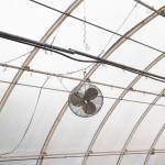 Pipes, wires and a fan hang from the inside of the greenhouse in Marysville. (Olivia Vanni / The Herald)