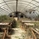 A before photo shows the greenhouses state of disrepair before the June cleanups. (Provided photo)