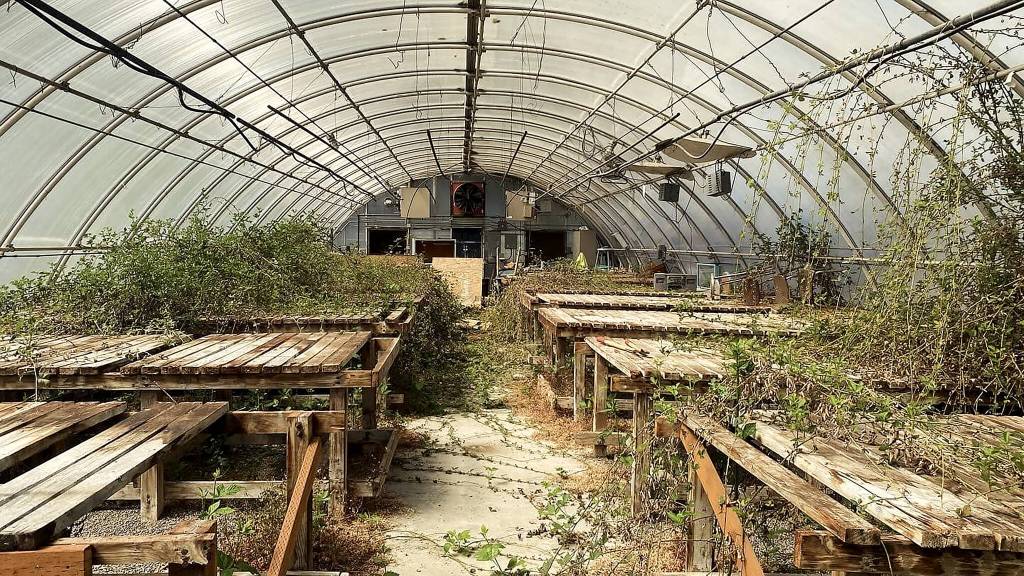 A before photo shows the greenhouses state of disrepair before the June cleanups. (Provided photo)