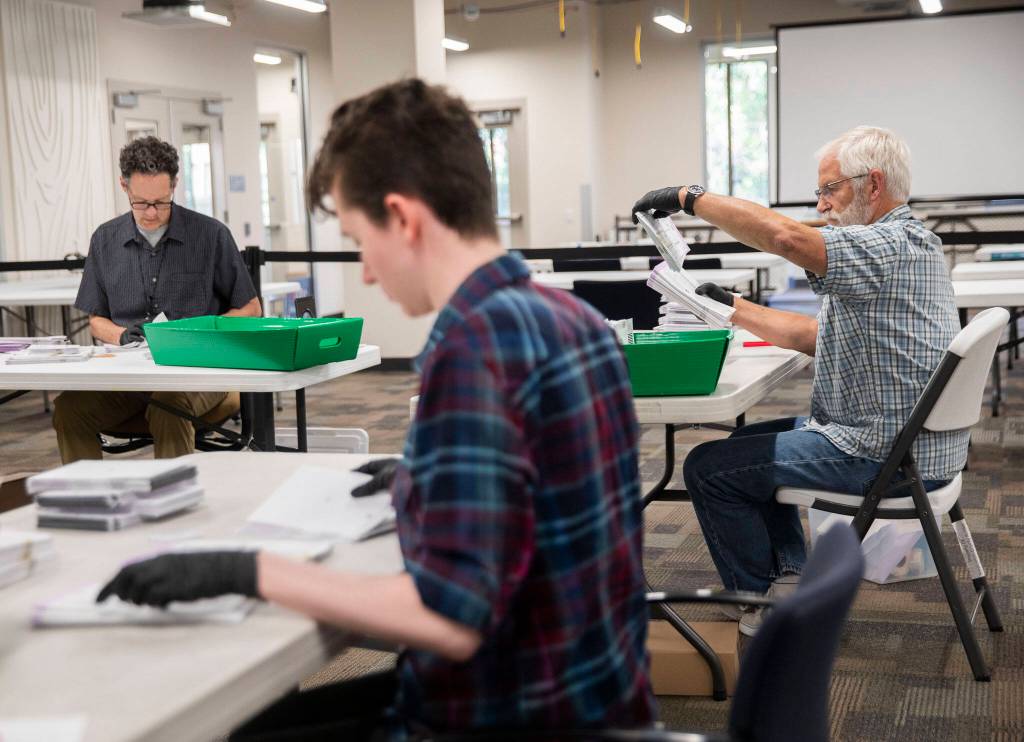 Election workers open ballots on Monday, Aug. 5, 2024 in Everett, Washington. (Olivia Vanni / The Herald)