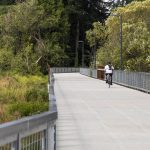 Olivia Vanni / The Herald 
A cyclist rides along the updated Scriber Creek Trail on Aug. 12 in Lynnwood.