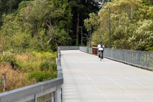 A cyclist rides along the updated Scriber Creek Trail on Monday, Aug. 12, 2024 in Lynnwood, Washington. (Olivia Vanni / The Herald)