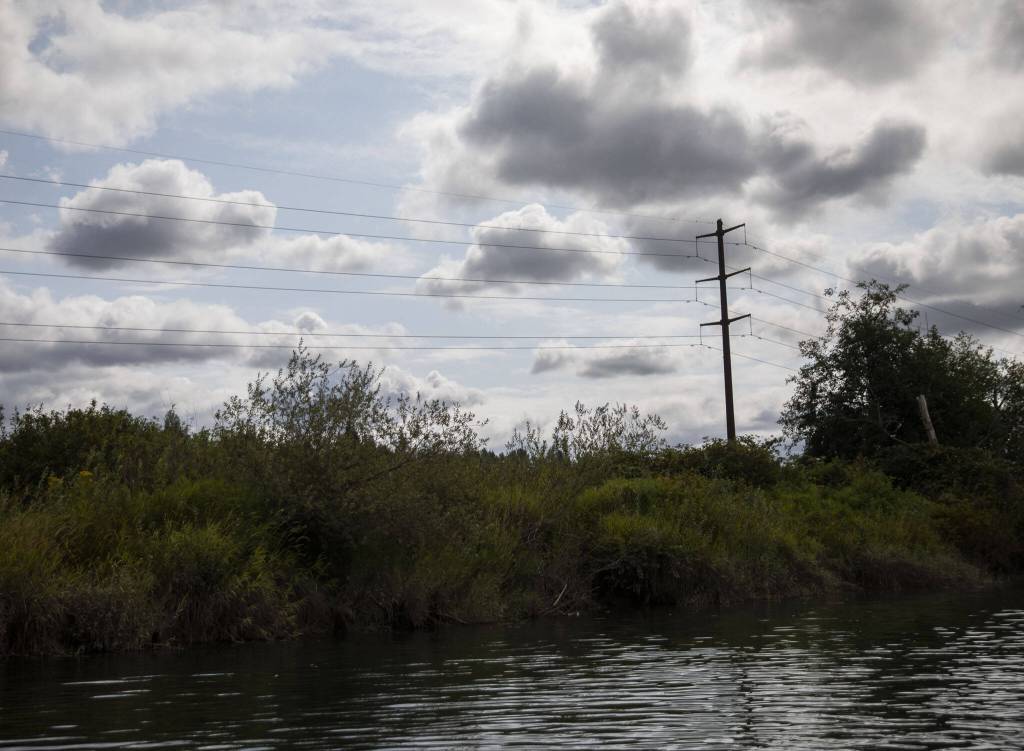 A Puget Sound Energy line that runs through the Chinook Marsh project site on Tuesday in Snohomish. (Olivia Vanni / The Herald)