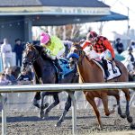 Five Star General (left) edges past Clovisconnection at the wire to win the Longacres Mile on Sunday at Emerald Downs. (Photo courtesy of Emerald Downs)
