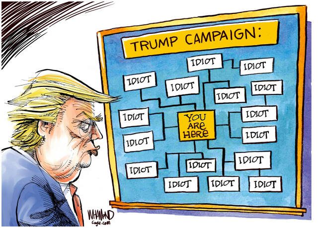 toon