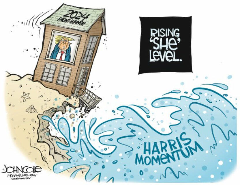 toon