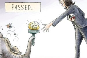 October 22, 2024: The Torch