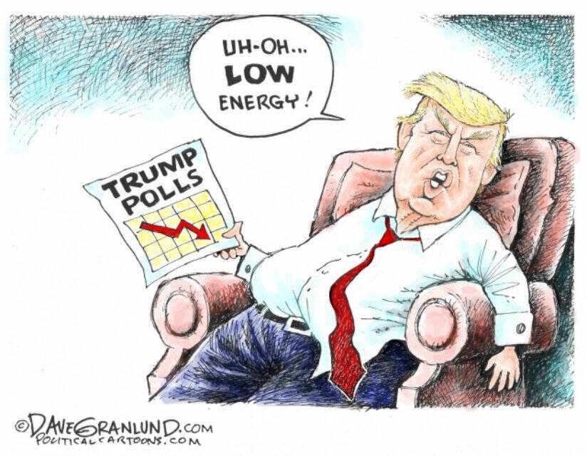 toon