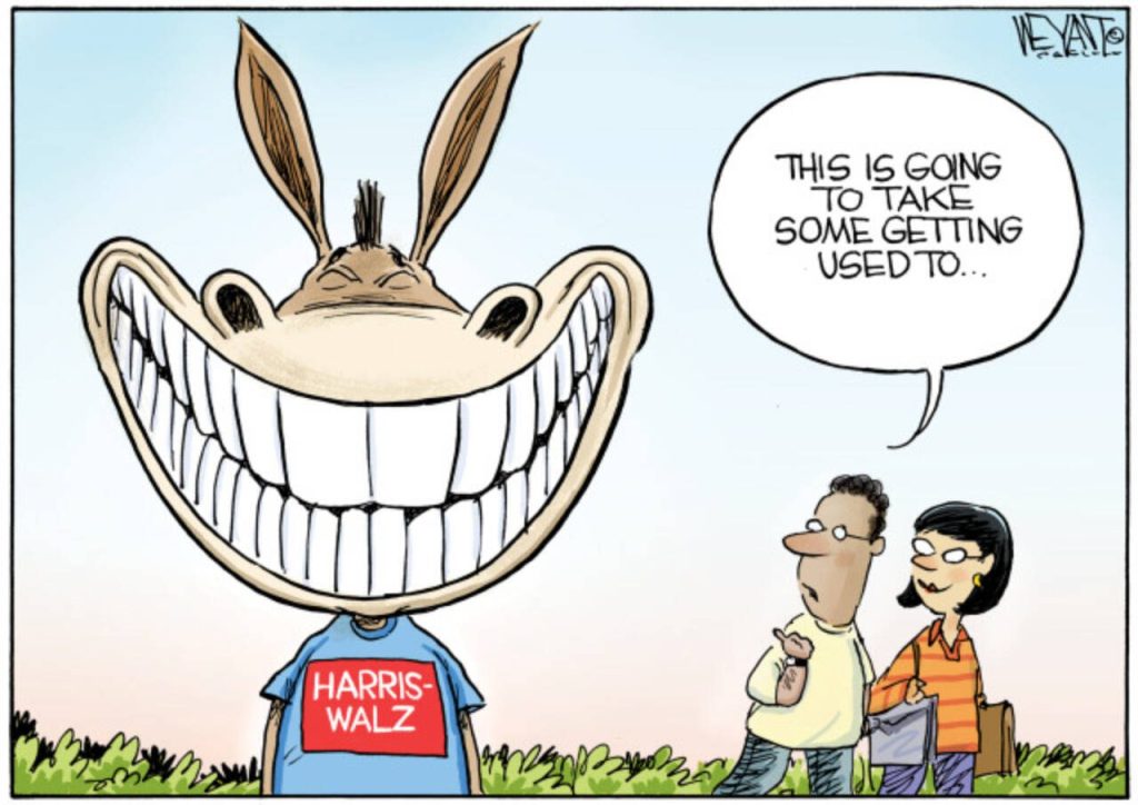 toon