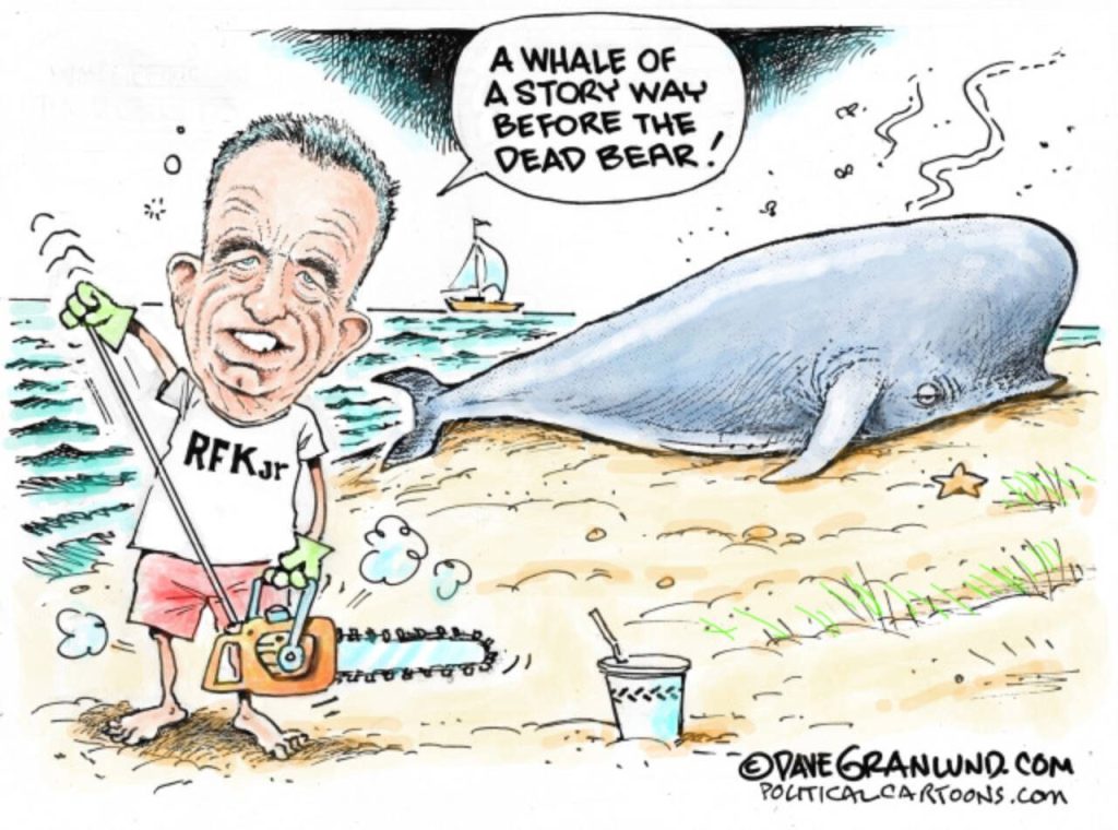 toon