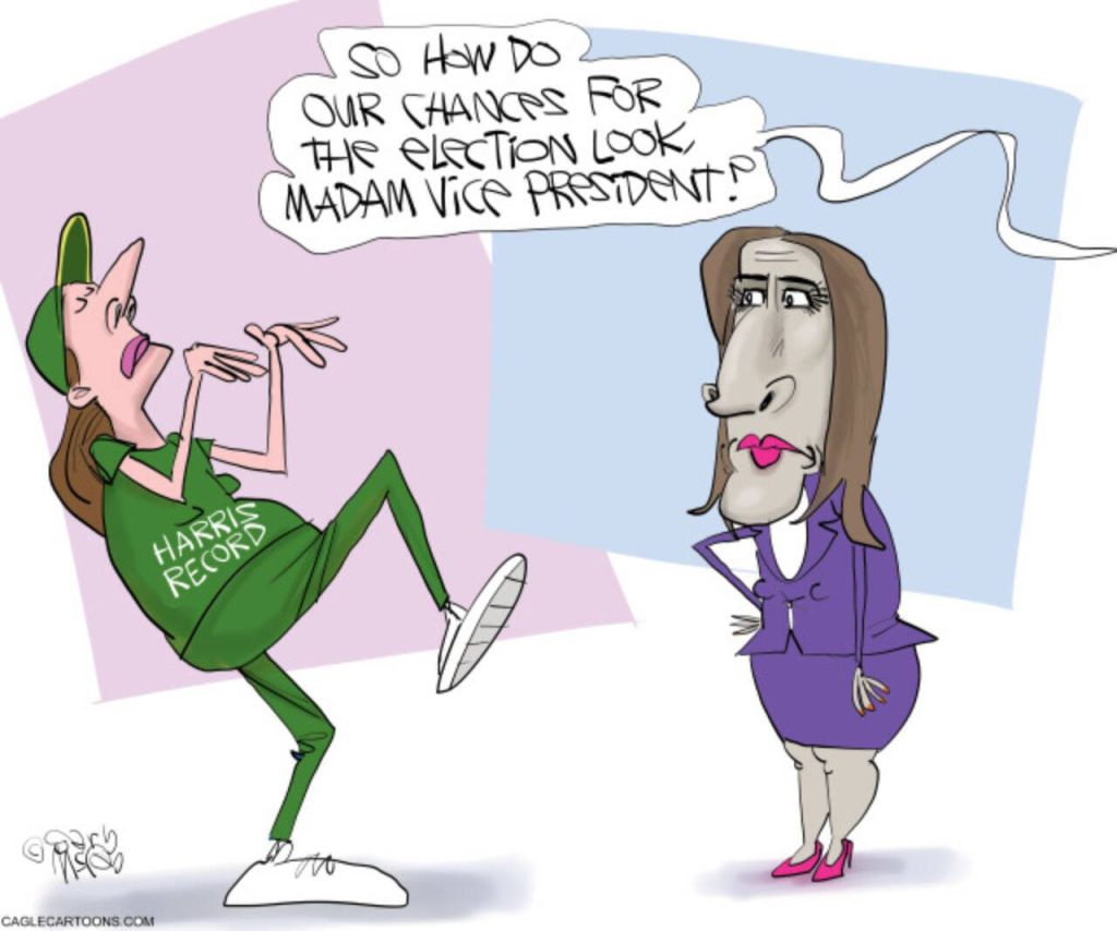 toon