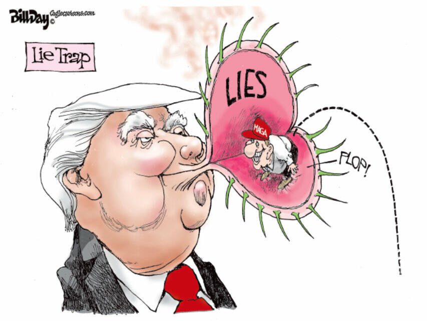 toon