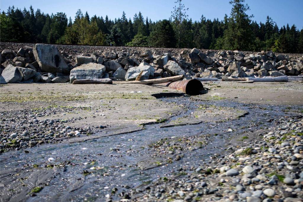 A culvert sits underneath BNSF Railway tracks in Edmonds on July 18. (Annie Barker / The Herald)