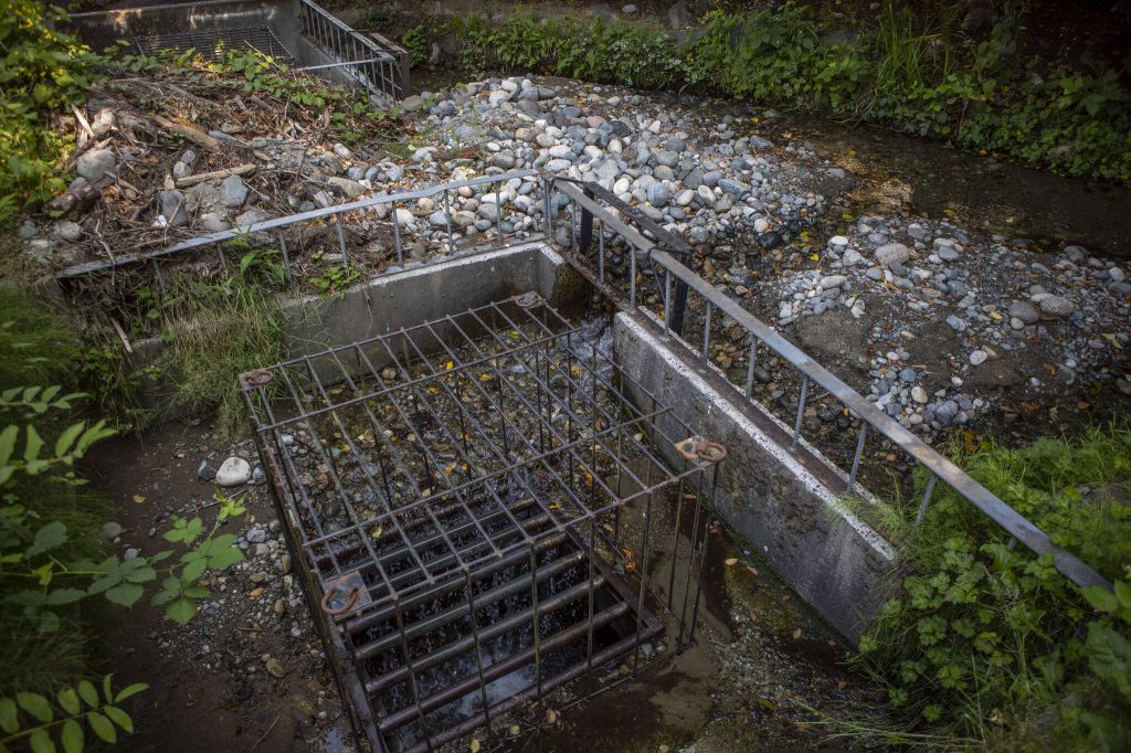 An overflow diversion structure sits along a section of Perrinville Creek near Talbot Road in Edmonds, Washington on Thursday, July 18, 2024. (Annie Barker / The Herald)