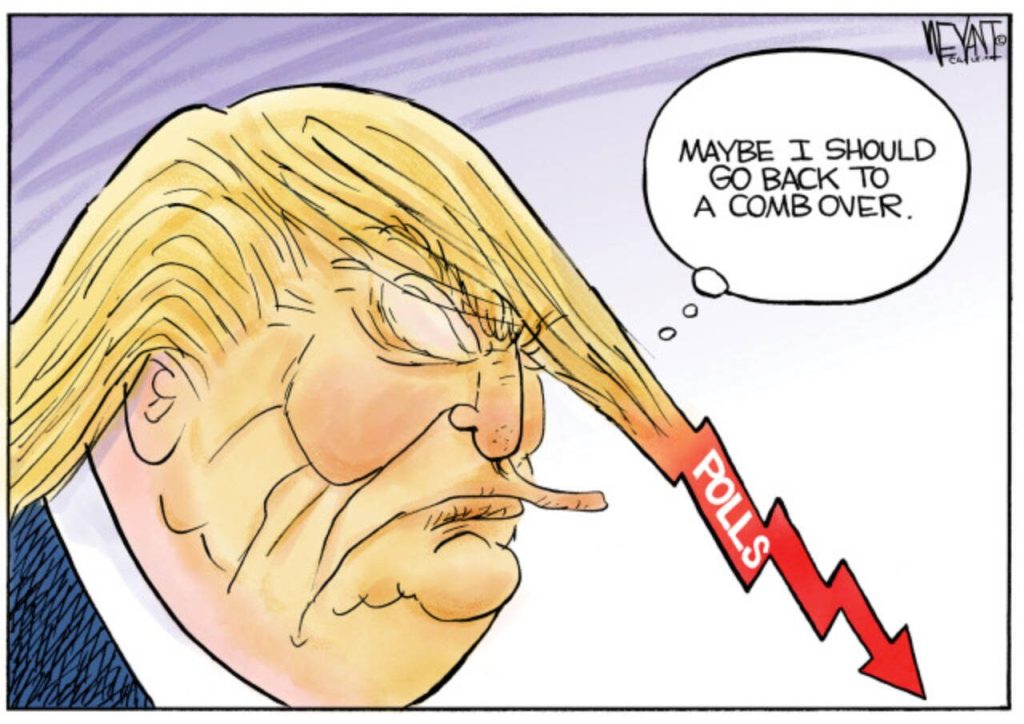 toon