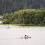 Paddleboarders float on the water at Lake Ballinger on Aug. 9. (Olivia Vanni / The Herald)