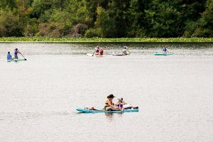 Paddleboarders float on the water at Lake Ballinger on Friday, Aug. 9, 2024 in Lynnwood, Washington. (Olivia Vanni / The Herald)