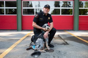 Fire Marshall Derek Landis with his bernedoodle therapy dog Amani, 1, at the Mukilteo Fire Department on Thursday, Sept. 5, 2024 in Mukilteo, Washington. (Olivia Vanni / The Herald)