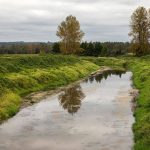 French Creek on Monday, Sept. 9, 2024 in Snohomish, Washington. (Olivia Vanni / The Herald)