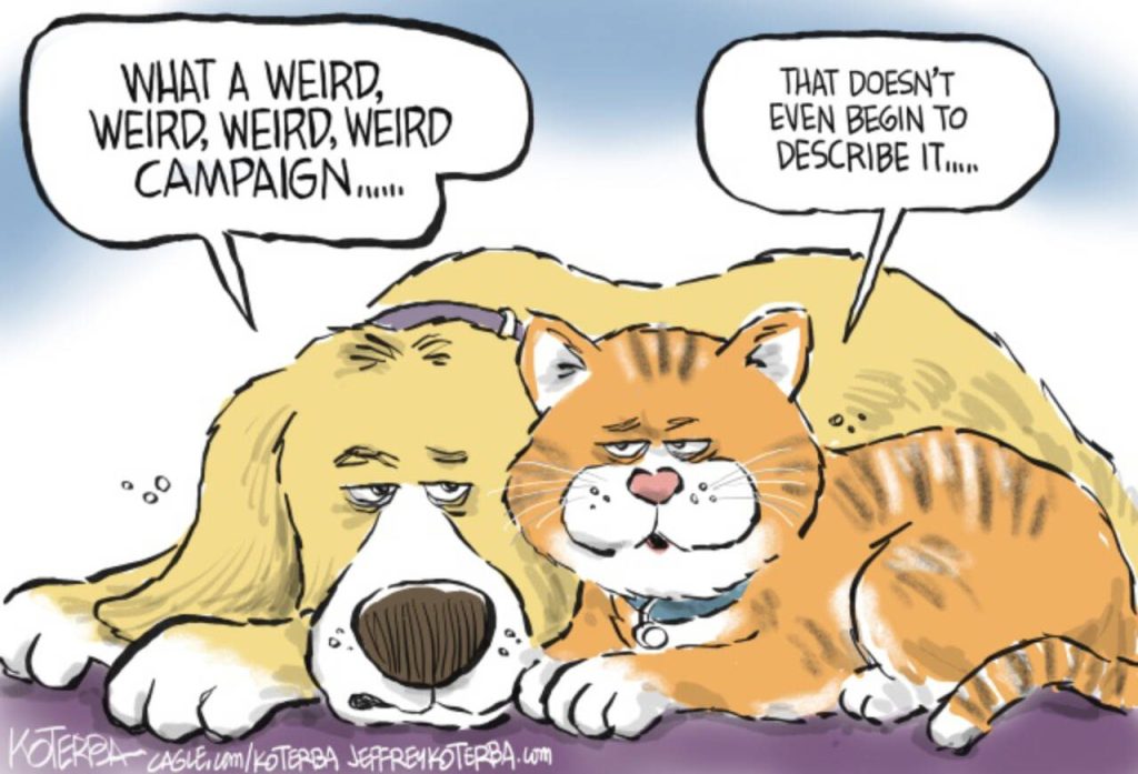 toon