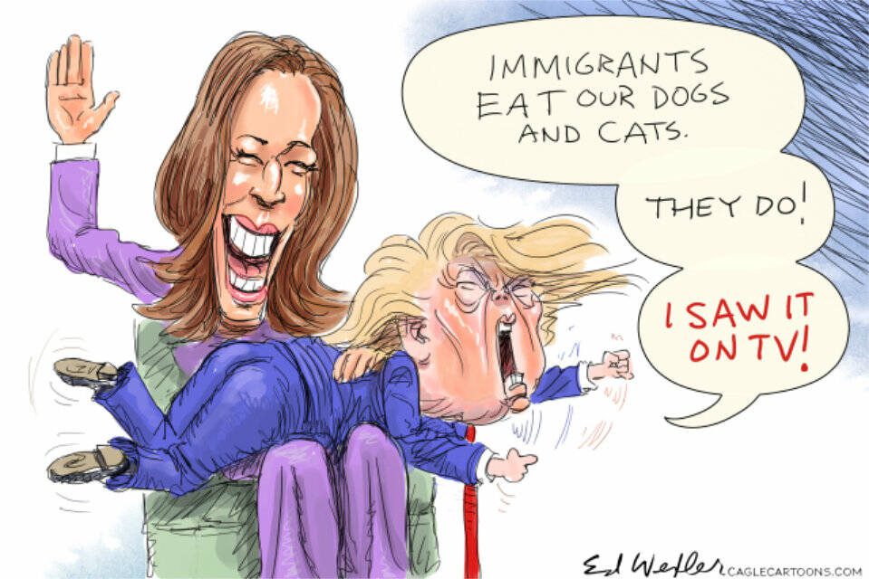 toon