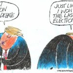 toon