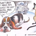 toon
