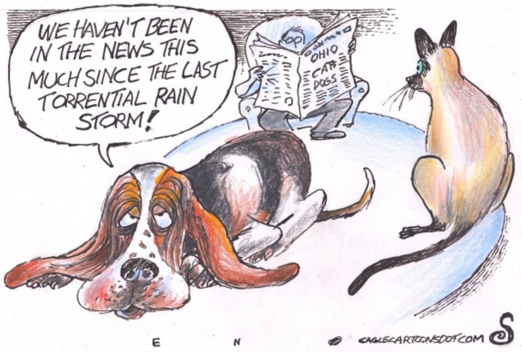 toon